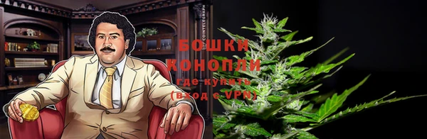 PSILOCYBIN Нязепетровск