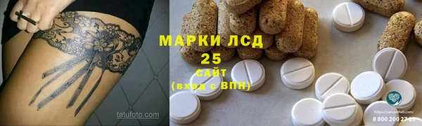 PSILOCYBIN Нязепетровск