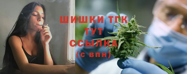 PSILOCYBIN Нязепетровск