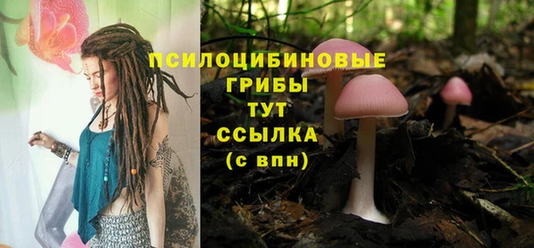 скорость Нягань
