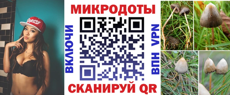 Галлюциногенные грибы мухоморы  Купить закладки  Александровское 